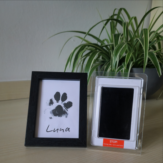 Kit impronte + cornice