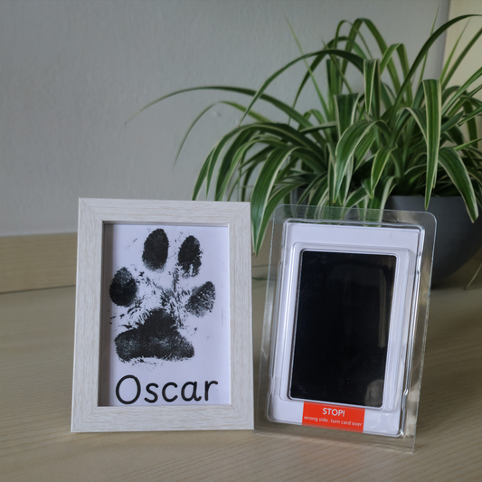 Kit impronte + cornice